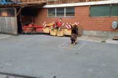IMG-20220908-WA0006