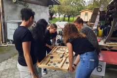 IMG-20220908-WA0008