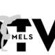 Logo-dtvmels